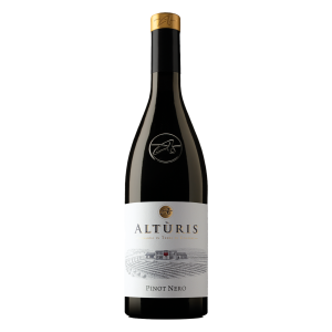 Azienda Agricola Altùris, Venezia Giulia IGP Pinot Nero 2024 - 0,75 l