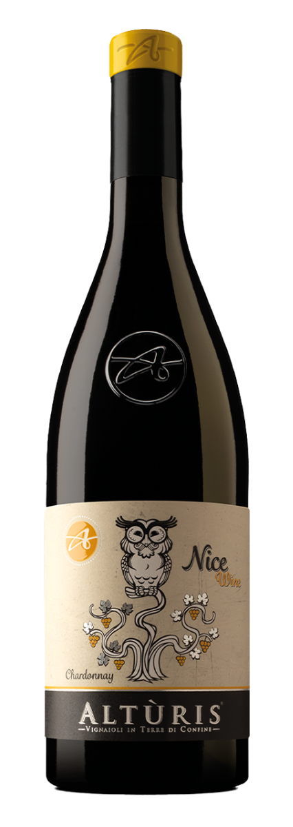 Azienda Agricola Altùris, Friuli IGP Nice wine 2021 - 0,75 l
