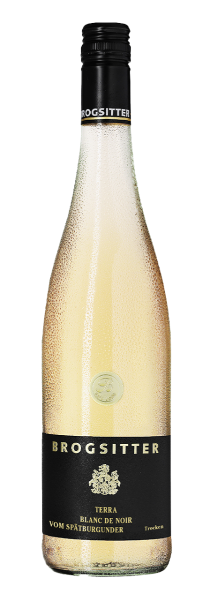 Brogsitter Weingüter, Rheinhessen Terra Blanc, Spätburgunder Blanc de Noir 2023 - 0,75 l