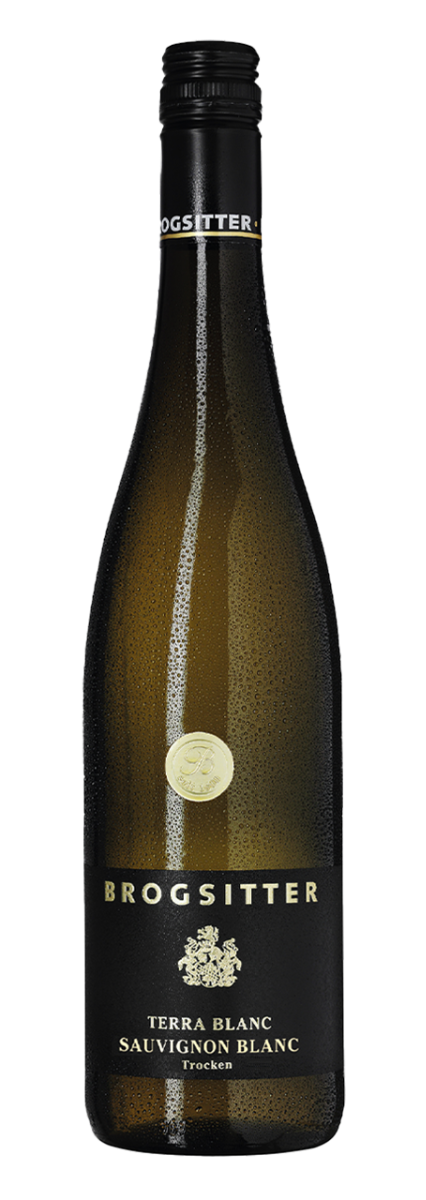 Brogsitter Weingüter, Rheinhessen Terra Blanc Sauvignon Blanc 2024 - 0,75 l