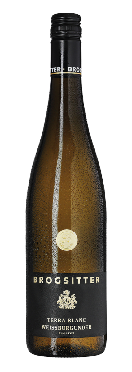 Brogsitter Weingüter, Rheinhessen Terra Blanc Weissburgunder 2023 - 0,75 l
