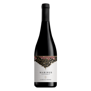 Il Conte Villa Prandone, Rosso Piceno Superiore DOP Marinus 2021 - 0,75 l