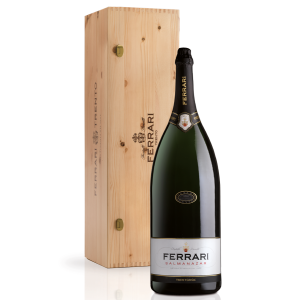 Ferrari, Trento DOC Brut nvt - 9 l