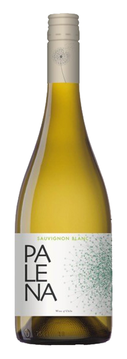 Palena, Rappel Valley Sauvignon Blanc 2025 - 0,75 l