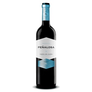 Bodegas Pascual, Ribera del Duero DO Heredad de Peñalosa, Roble 2023 - 0,75 l
