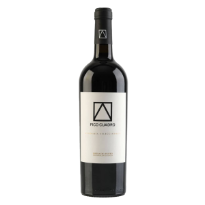 Pico Cuadro, Ribera del Duero DO Vendimia Seleccionada 2020 - 0,75 l