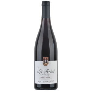 Domaine Serge Dagueneau et Filles, Côtes de la Charité IGP Les Montées de St.-Lay Pinot Noir 2022 - 0,75 l