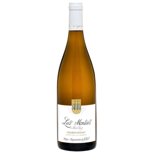 Domaine Serge Dagueneau et Filles, Côtes de la Charité IGP Chardonnay 2020 - 0,75 l