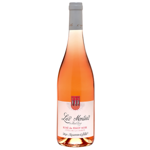 Domaine Serge Dagueneau et Filles, Côtes de la Charité IGP Pinot Noir 2022 - 0,75 l